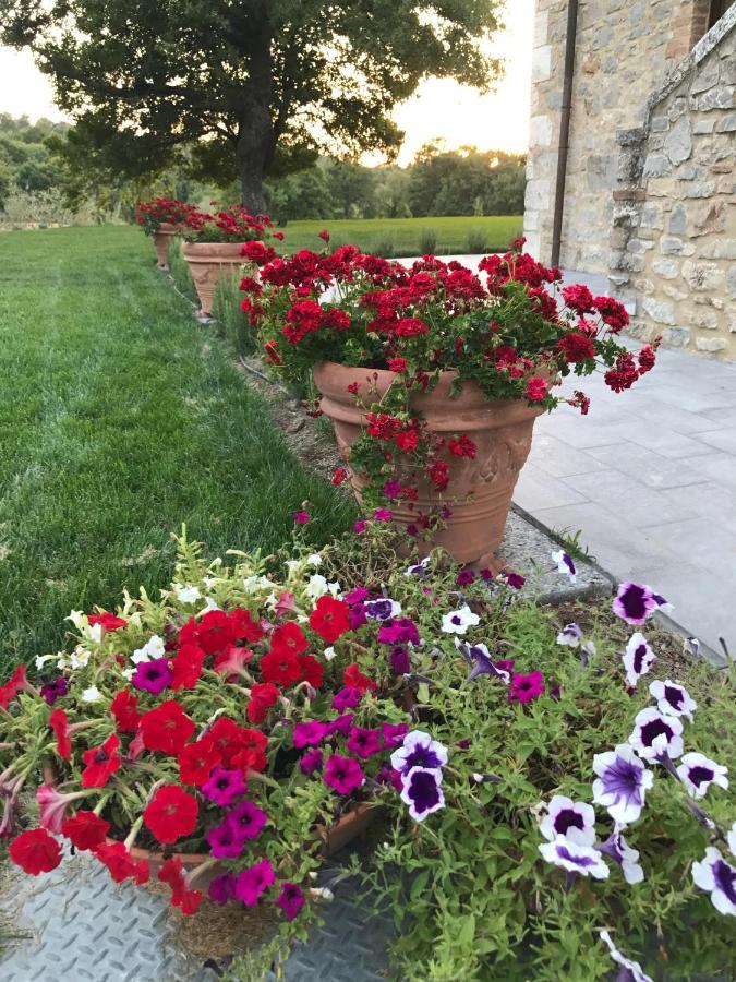 Belsentiero Bed & Breakfast Campiglia d'Orcia Exterior photo